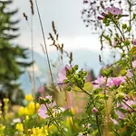 Apartmán Brigerblick Og Bettmeralp