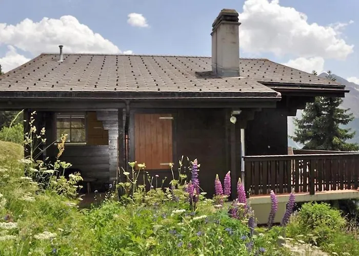 Brigerblick Og Bettmeralp