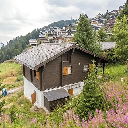 Brigerblick Og * Bettmeralp