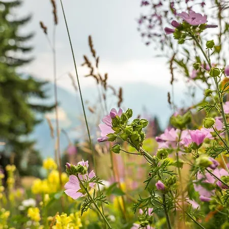 Appartamento Brigerblick Og Bettmeralp
