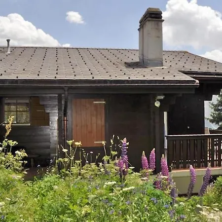 Brigerblick Og Bettmeralp